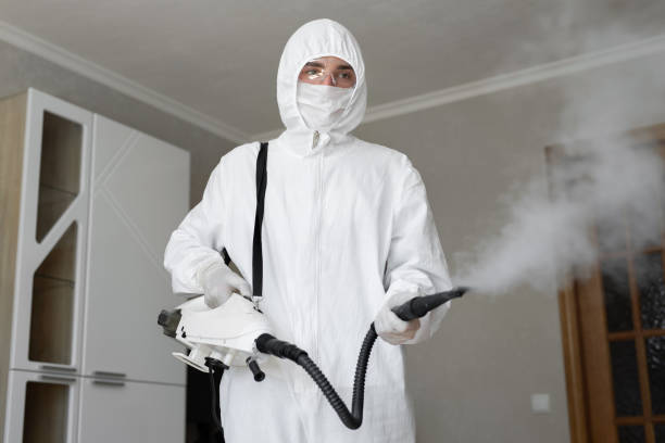 Best Residential Mold Inspection & Testing  in , GA